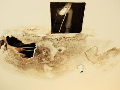 Professional water damage restoration services in Tuscaloosa, AL - NexGen Water Damage